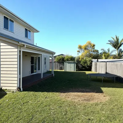 After: Dead messmate over a horse paddock, taken off the machine, Mount Evelyn