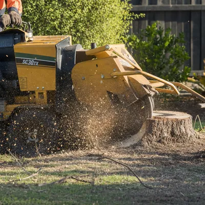 Stump Grinding in Mount Evelyn. Grinding paddock and driveway stumps below grade so you can mow, fence or run machinery over them without the wood throwing suckers or rotting in the ground.