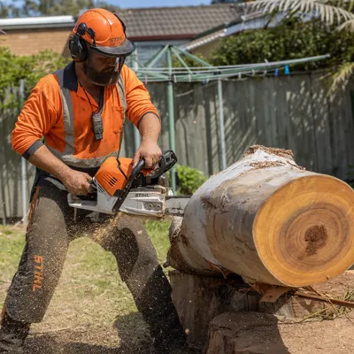 Tree Removal in Mount Evelyn. Takedown of dead, dying and dangerous trees on acreage and large blocks. Felled whole where there is room, dismantled by climber, elevated work platform or crane where there is not.